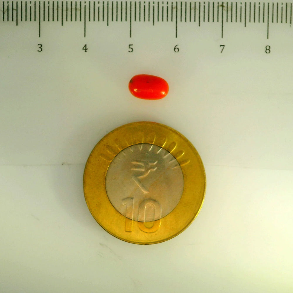 ITLGR_107148_SCALE.webp