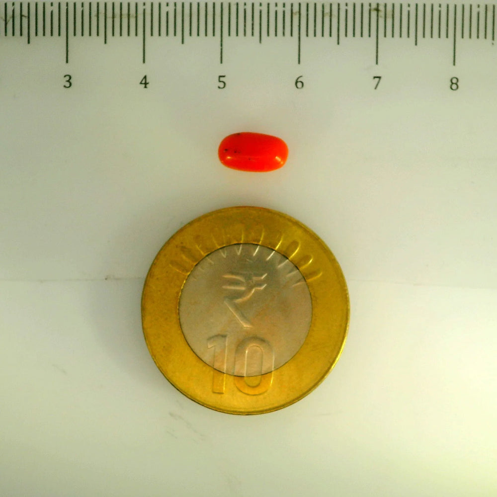 ITLGR_107149_SCALE.webp