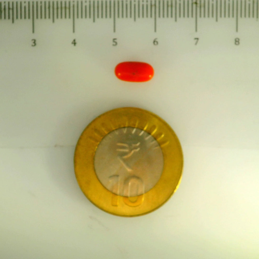 ITLGR_107150_SCALE.webp