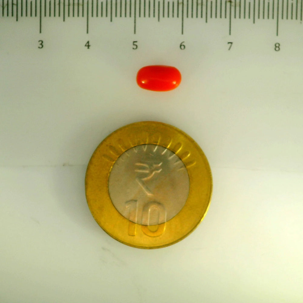 ITLGR_107151_SCALE.webp