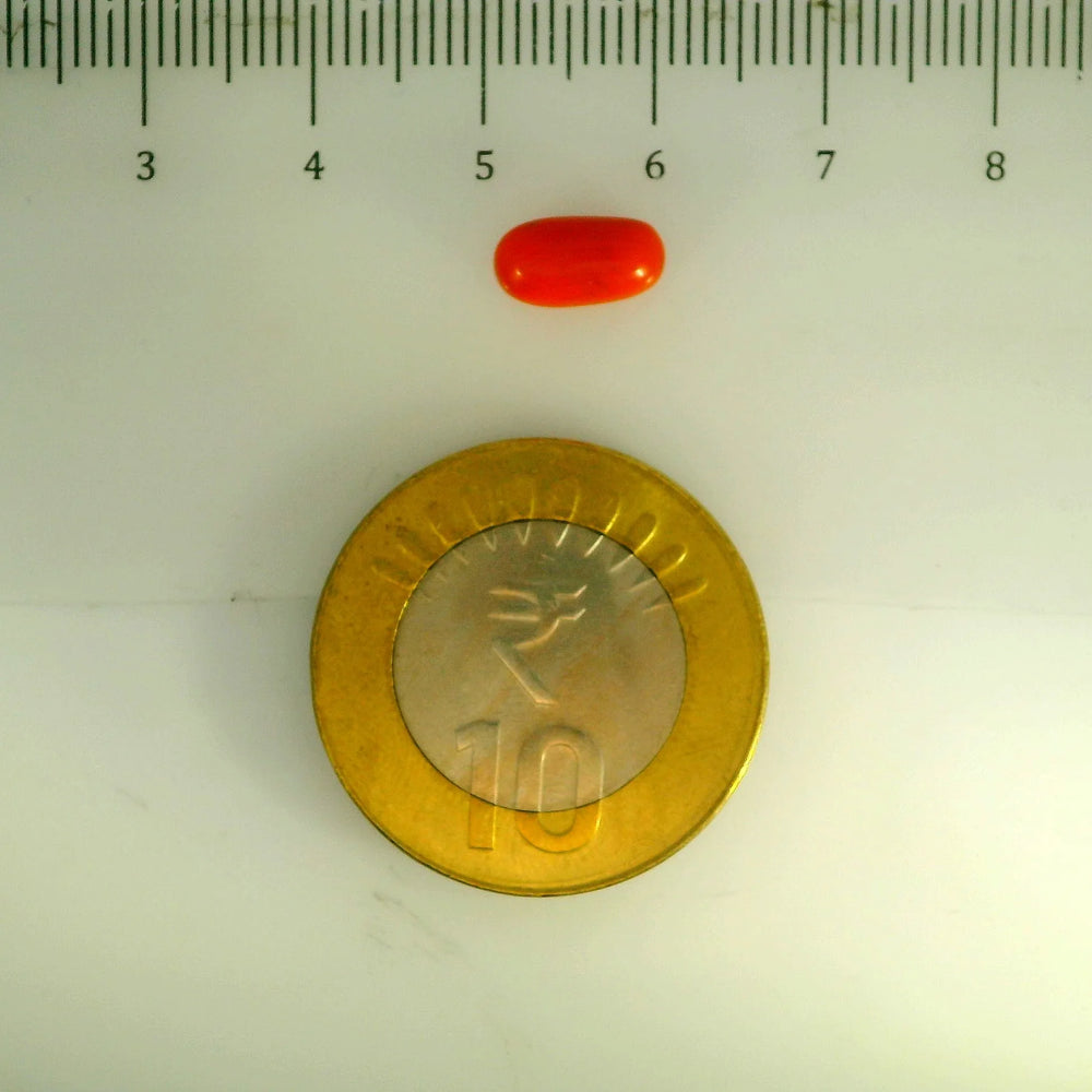 ITLGR_107152_SCALE.webp