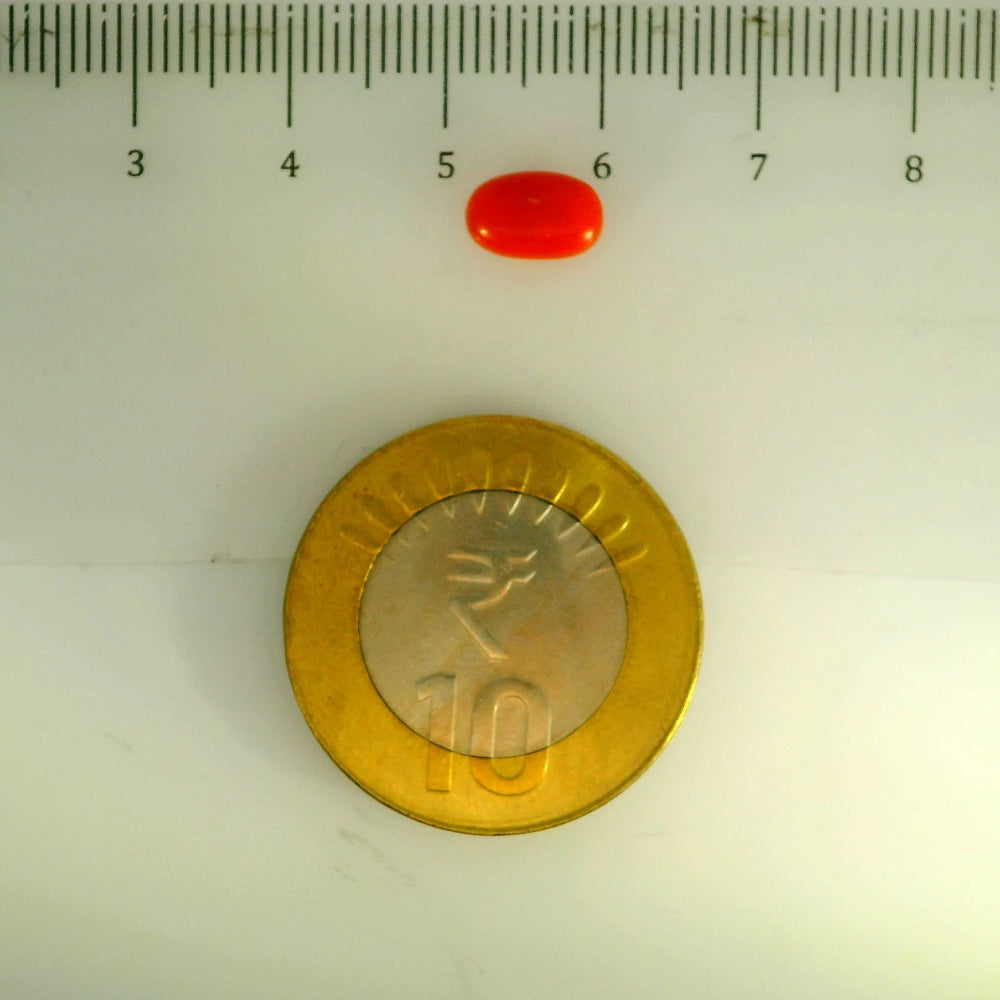 ITLGR_107156_SCALE.webp