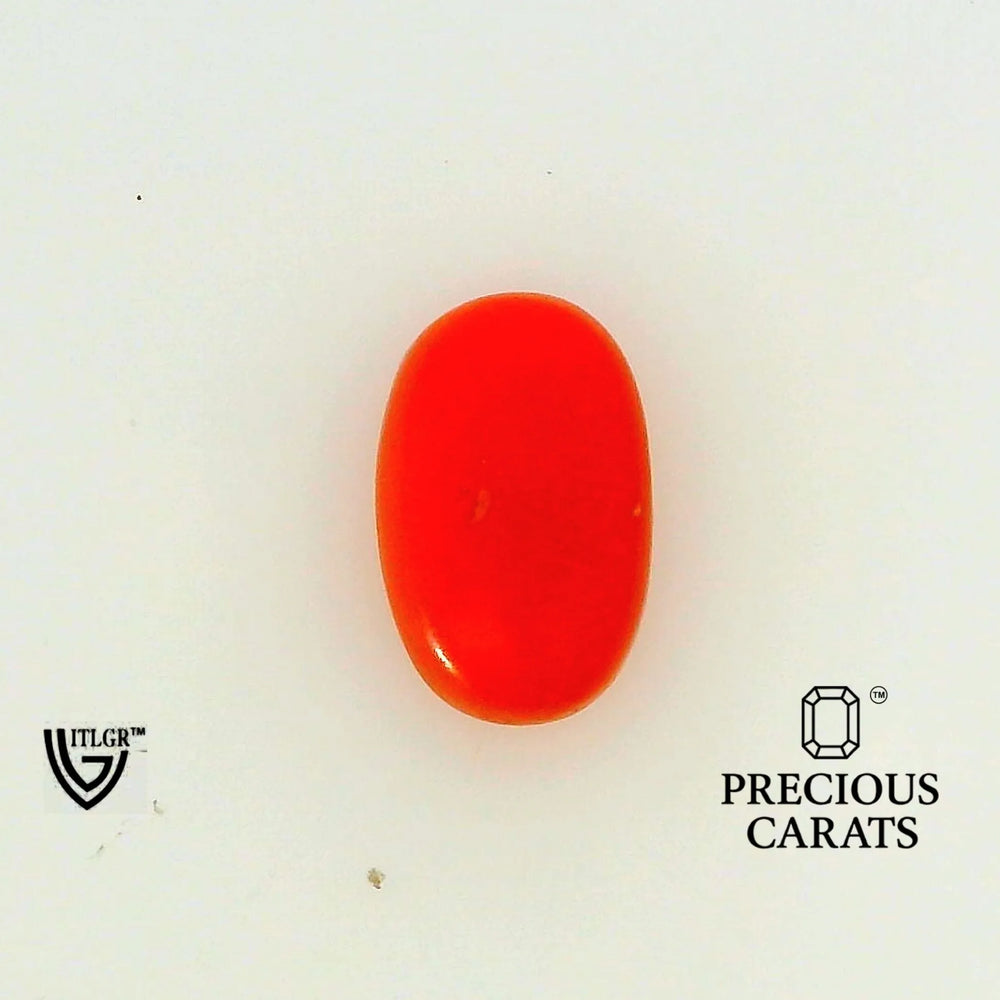 ITLGR_107156_TOP.webp