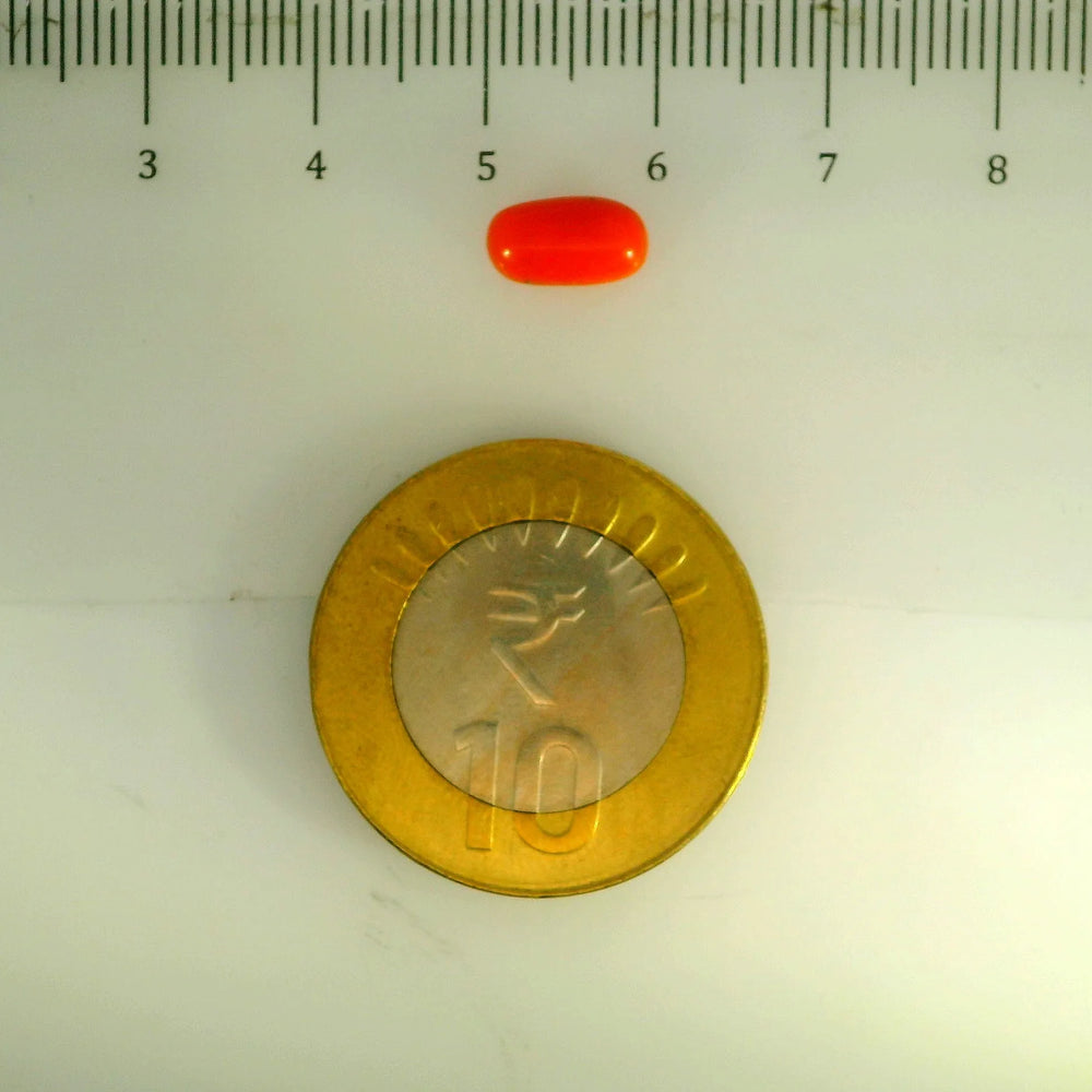 ITLGR_107158_SCALE.webp