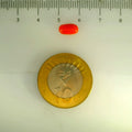 ITLGR_107158_SCALE.webp