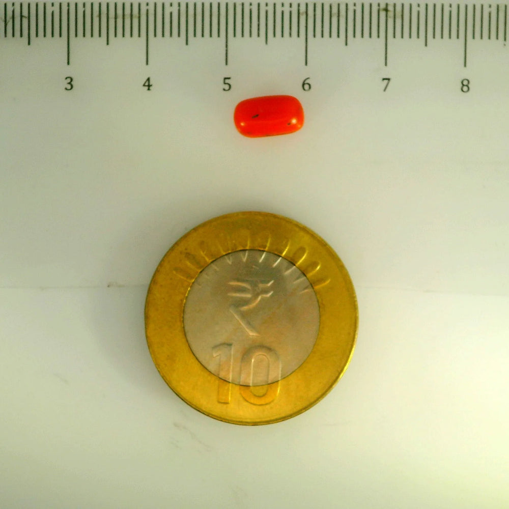 ITLGR_107161_SCALE.webp