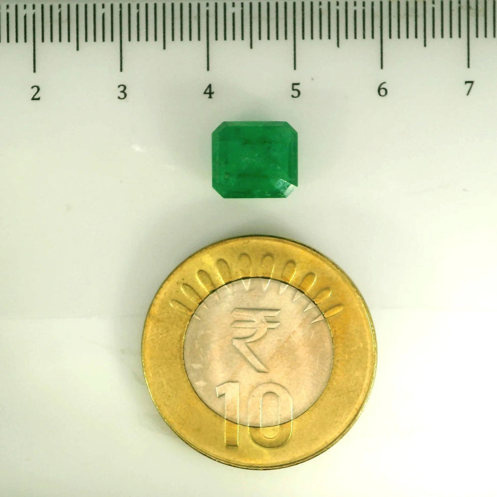 ITLGR_109829_SCALE.webp
