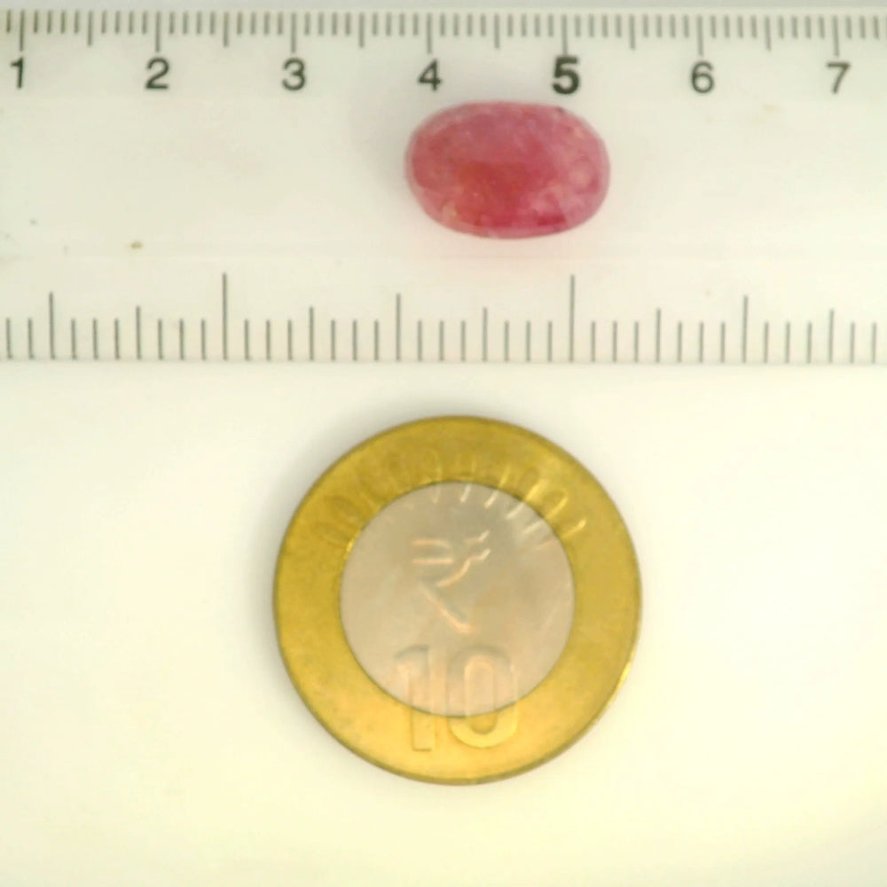 ITLGR_109882_SCALE.webp