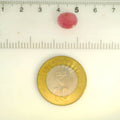 ITLGR_109896_SCALE.webp