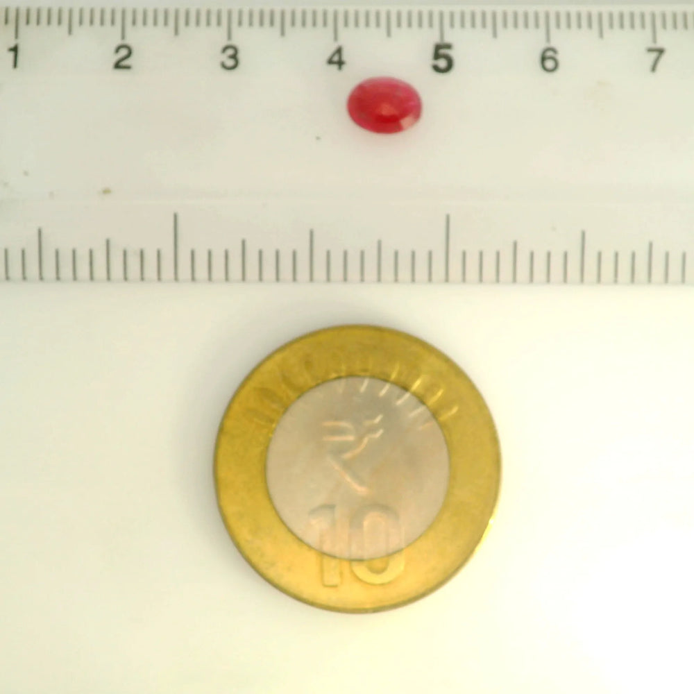 ITLGR_109897_SCALE.webp
