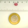 ITLGR_109898_SCALE.webp