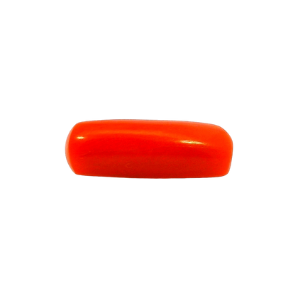ITLGR_112811_FRONT.png