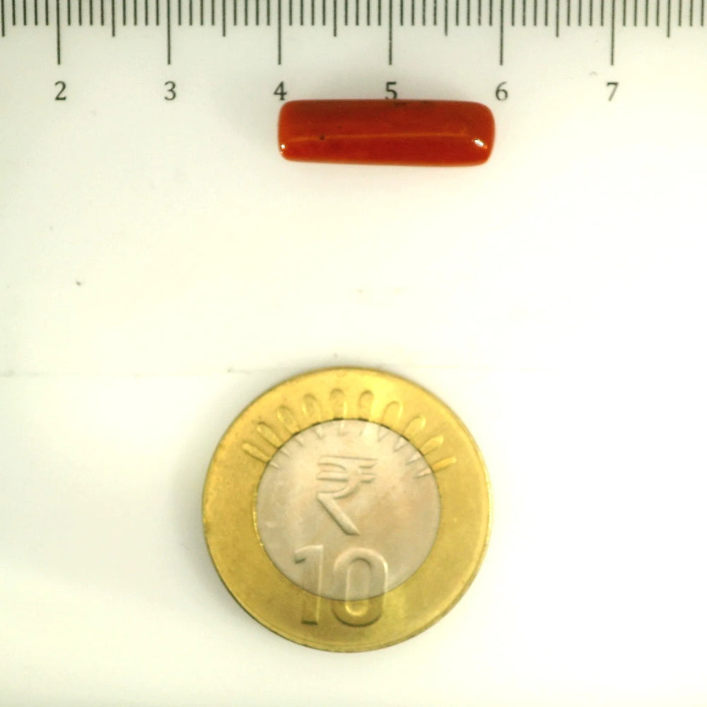 ITLGR_112817_SCALE.webp