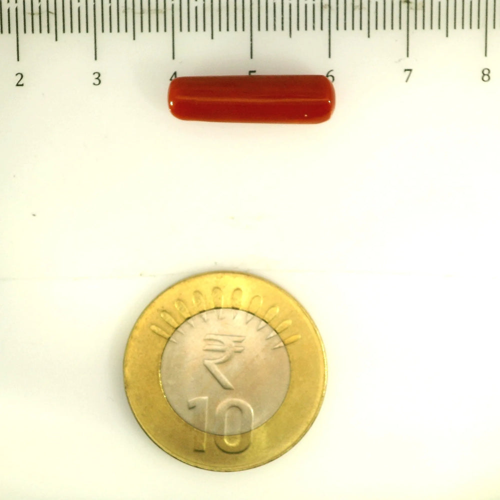 ITLGR_112819_SCALE.webp