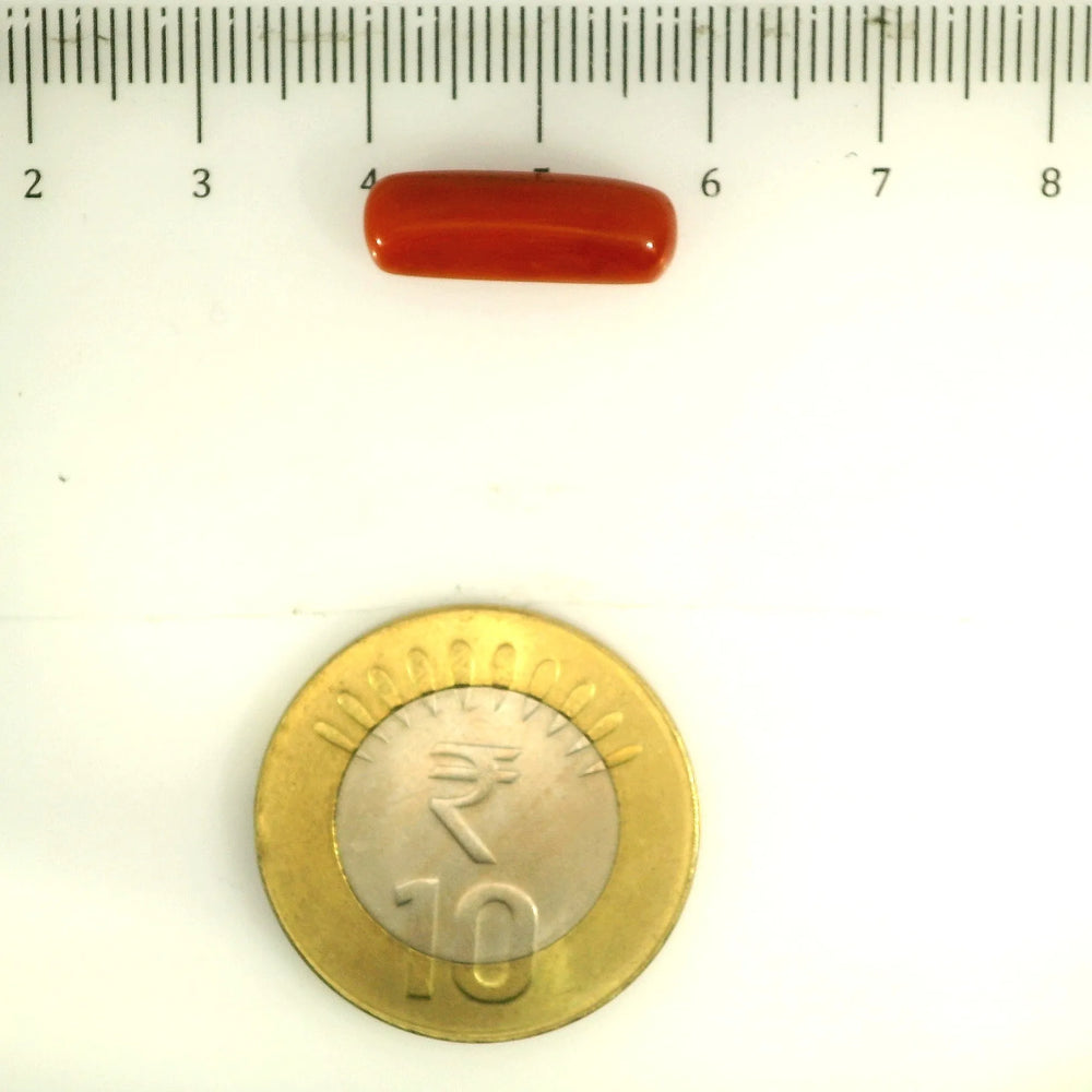 ITLGR_112821_SCALE.webp