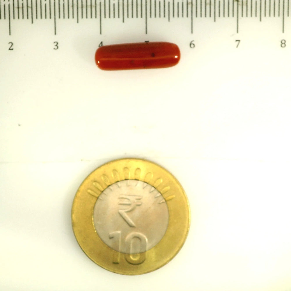 ITLGR_112823_SCALE.webp