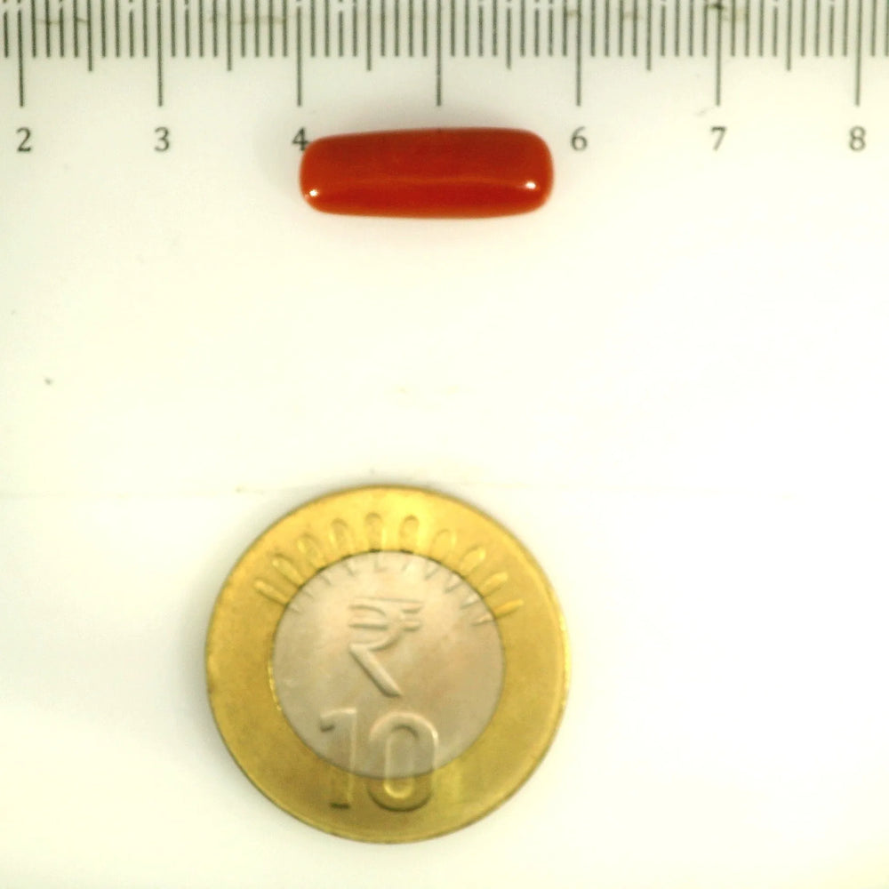 ITLGR_112824_SCALE.webp