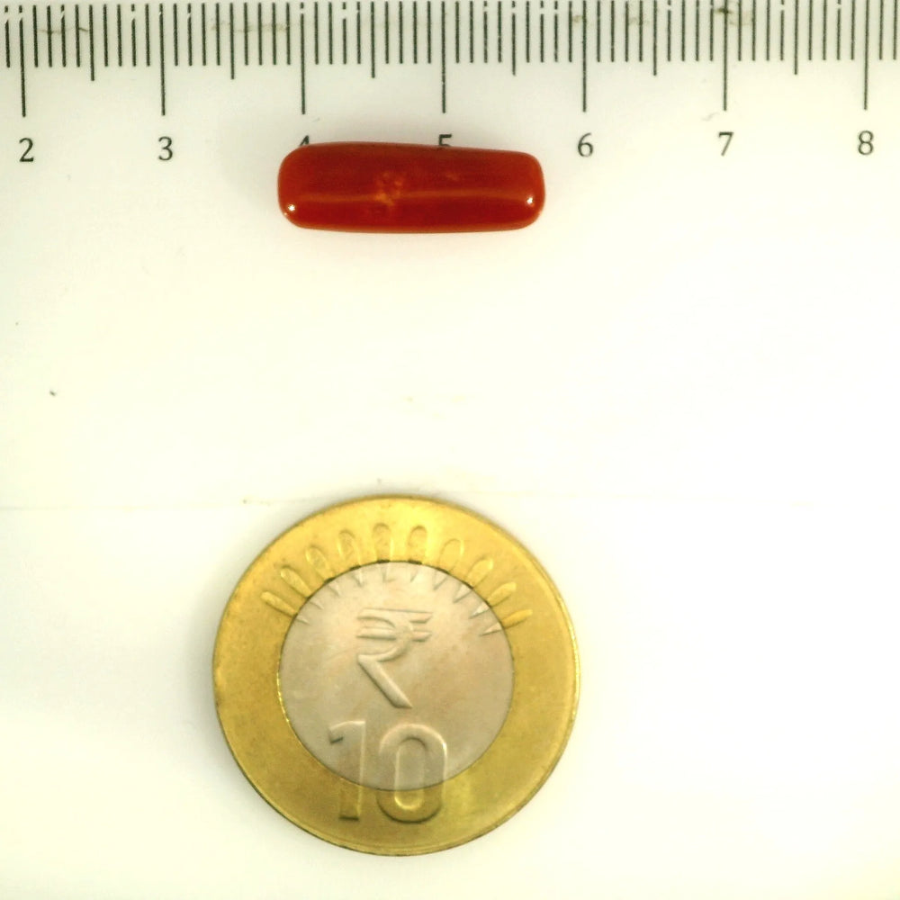 ITLGR_112826_SCALE.webp