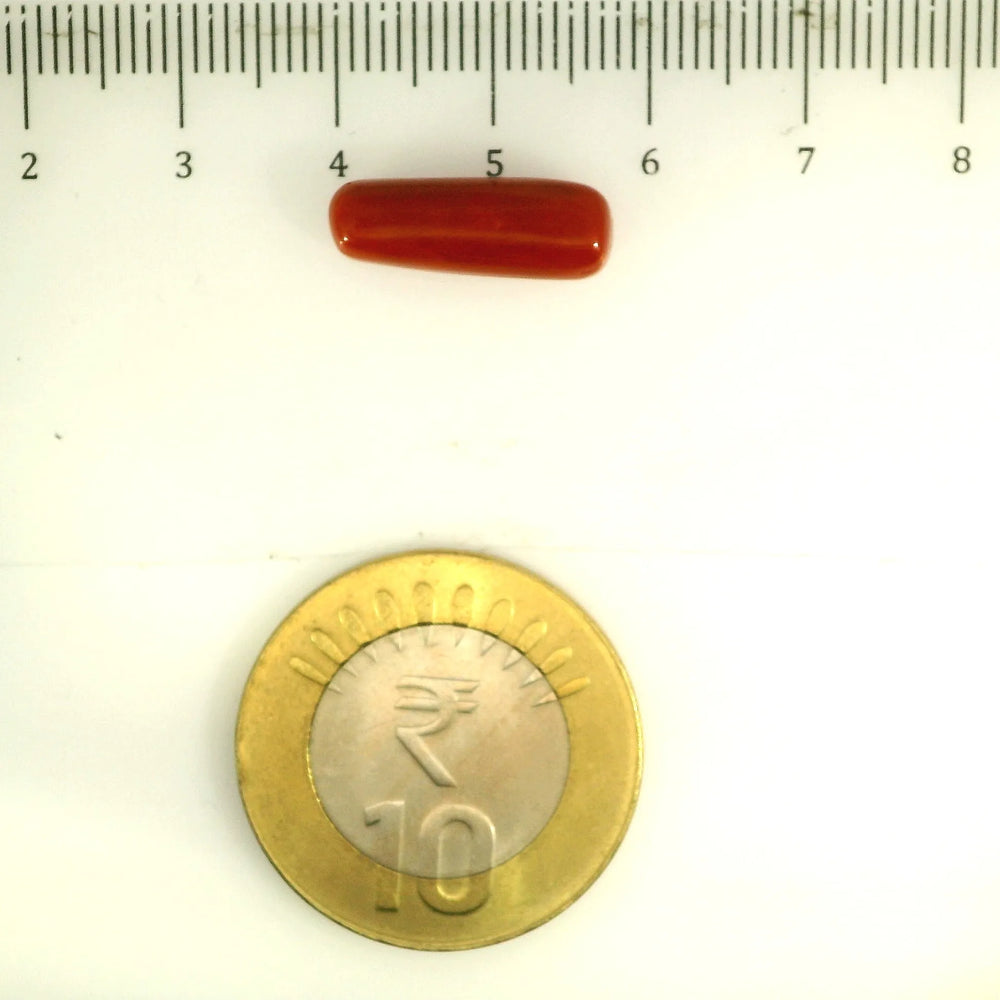 ITLGR_112831_SCALE.webp
