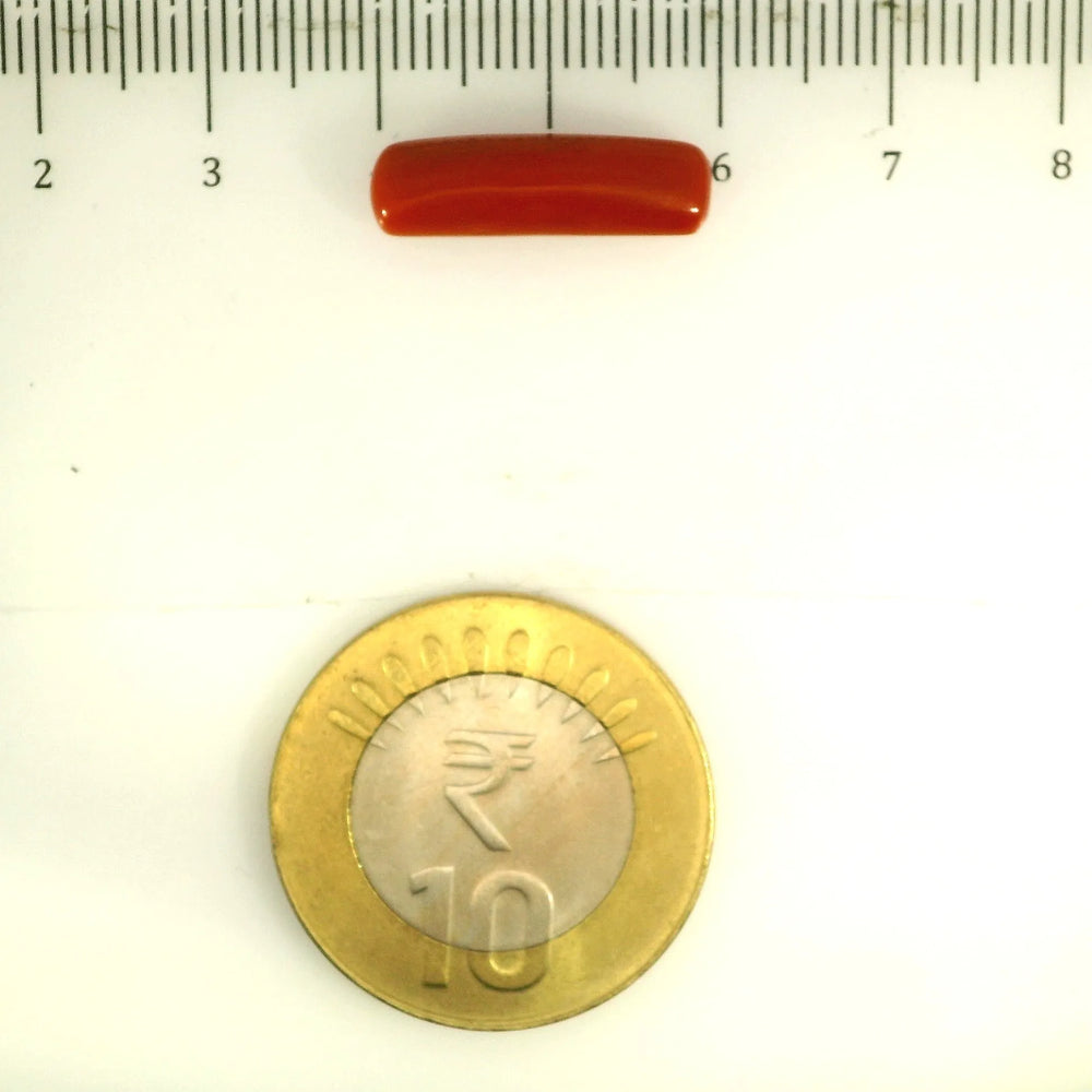ITLGR_112833_SCALE.webp