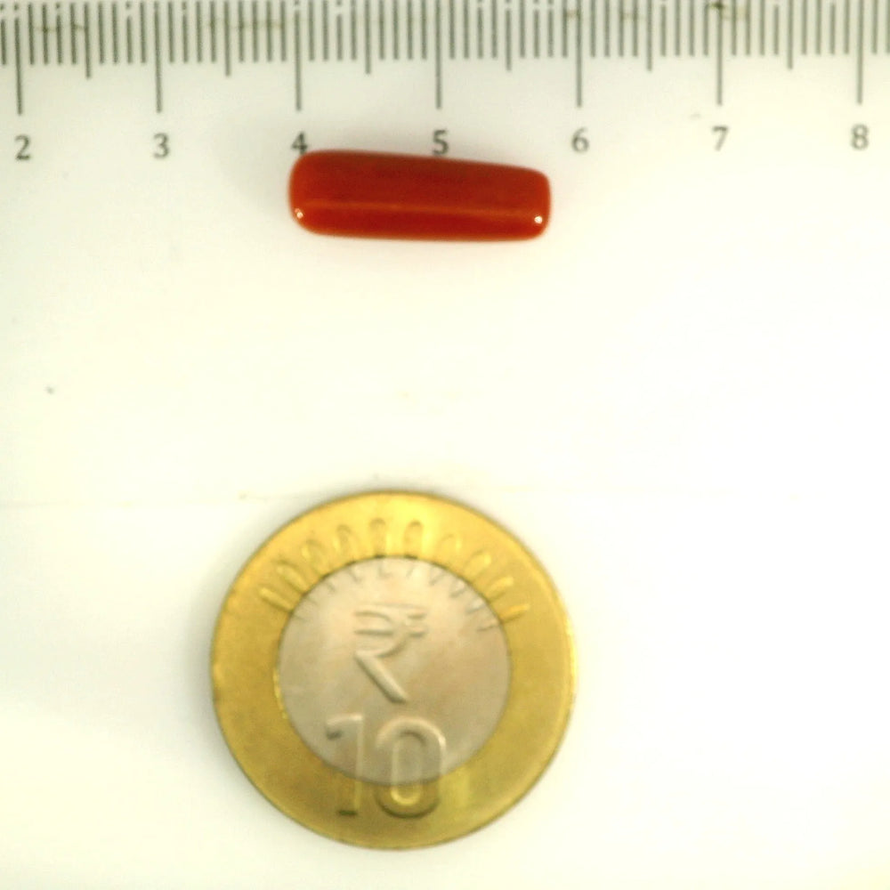 ITLGR_112838_SCALE.webp