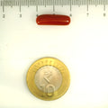 ITLGR_112845_SCALE.webp