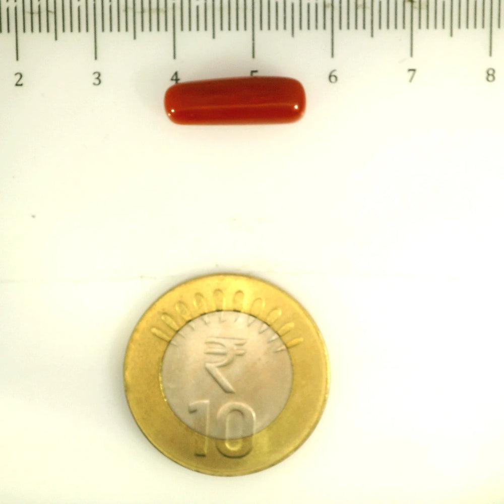 ITLGR_112850_SCALE.webp