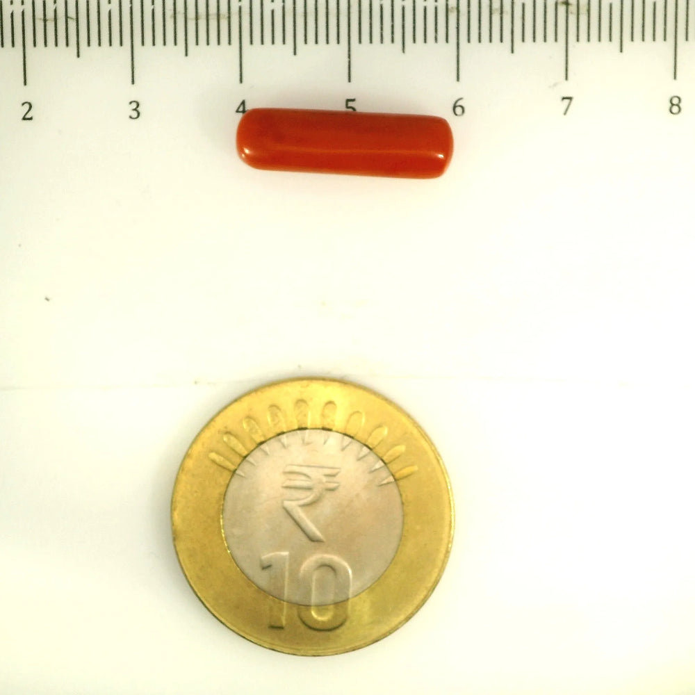 ITLGR_112853_SCALE.webp