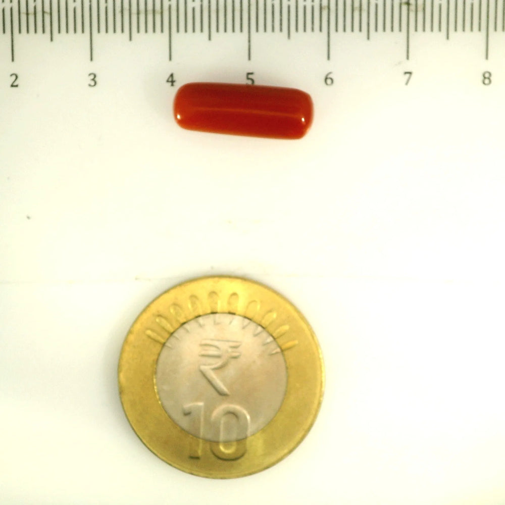 ITLGR_112858_SCALE.webp