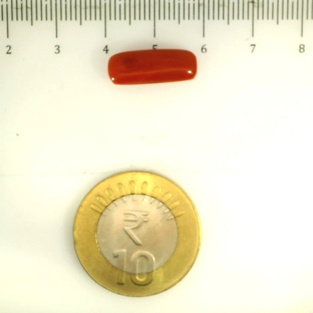 ITLGR_112859_SCALE.webp