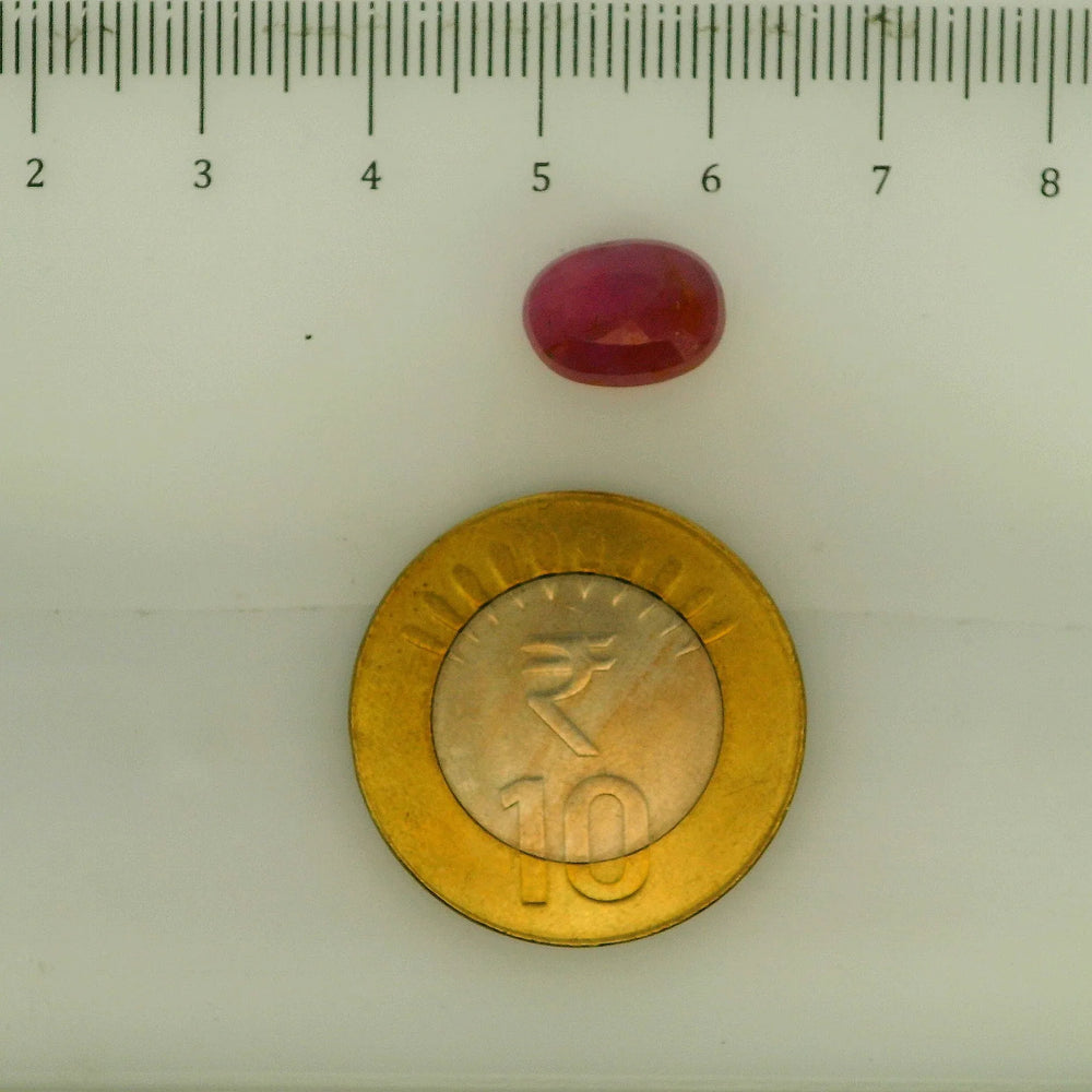 ITLGR_112865_SCALE.webp