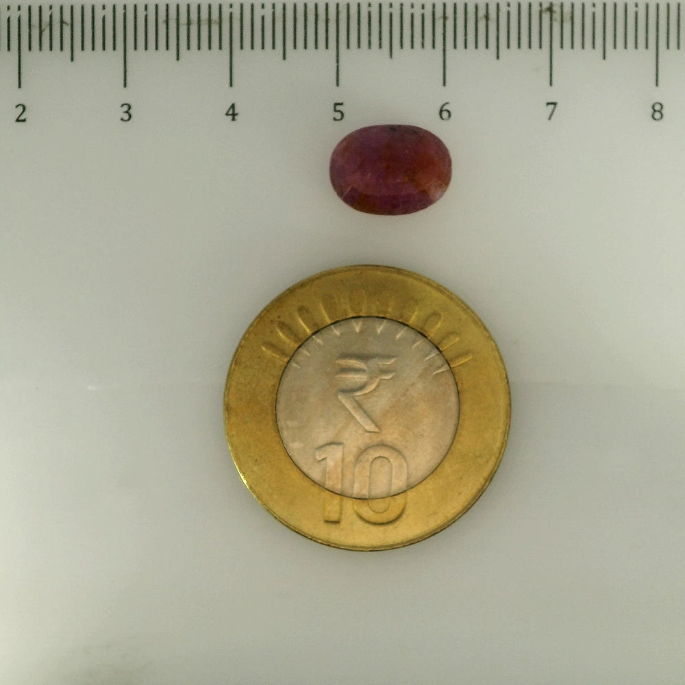 ITLGR_112874_SCALE.webp