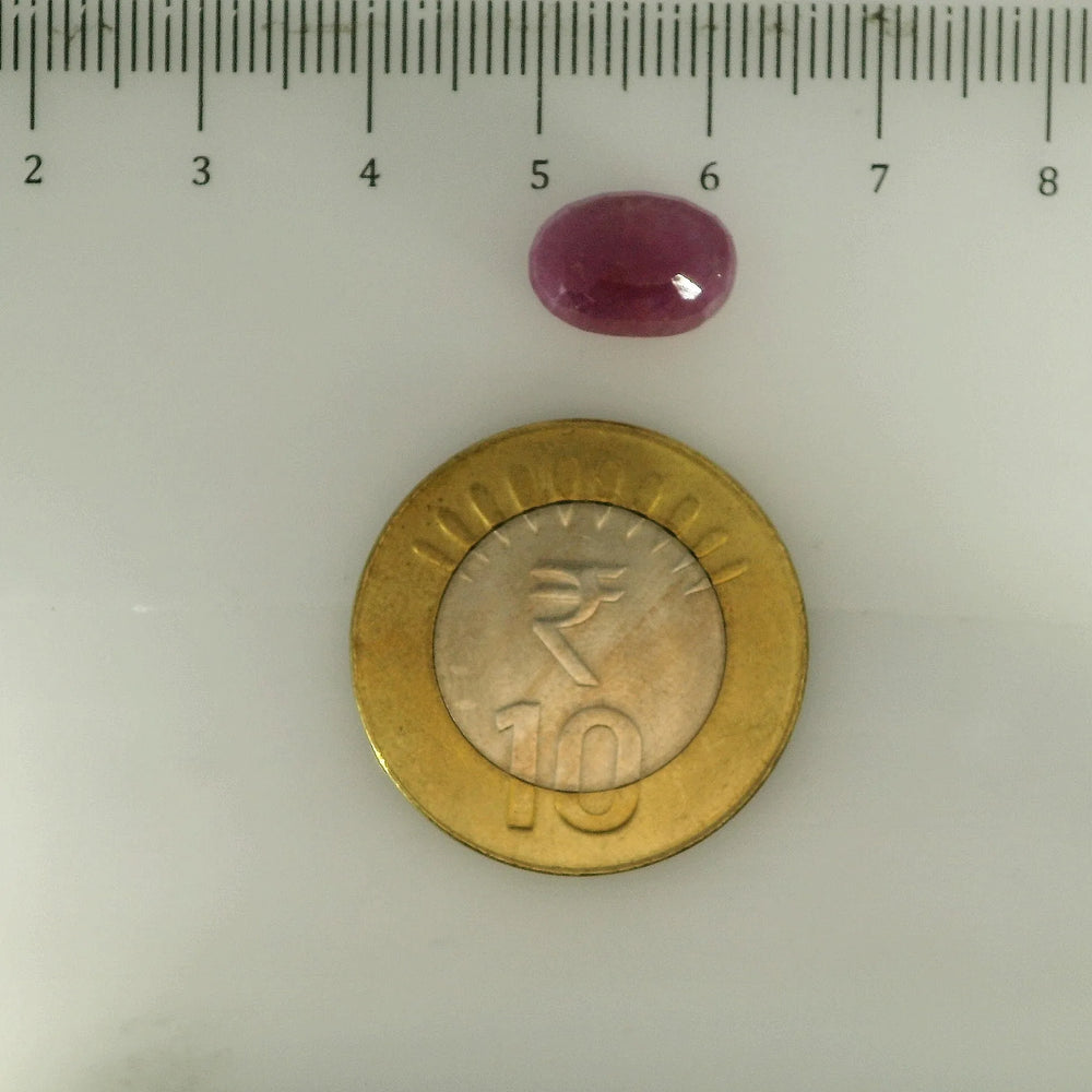 ITLGR_112877_SCALE.webp