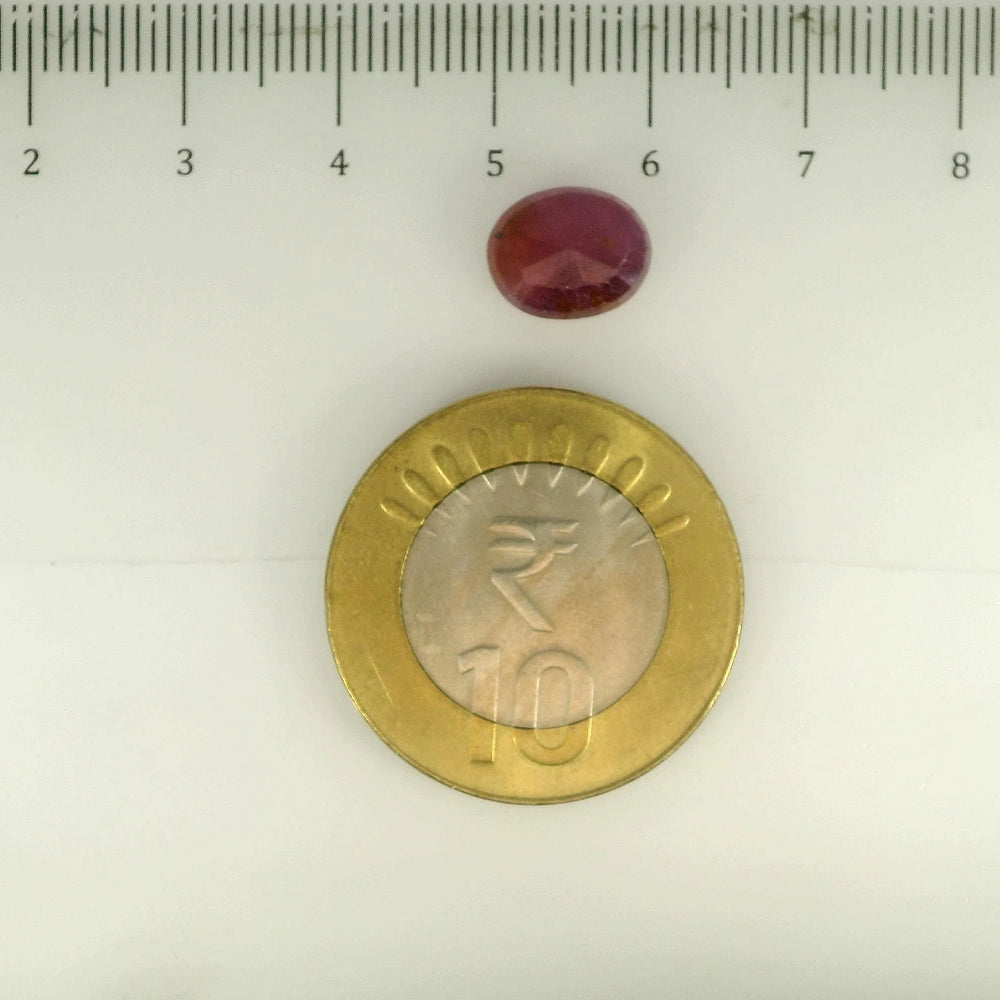 ITLGR_112883_SCALE.webp