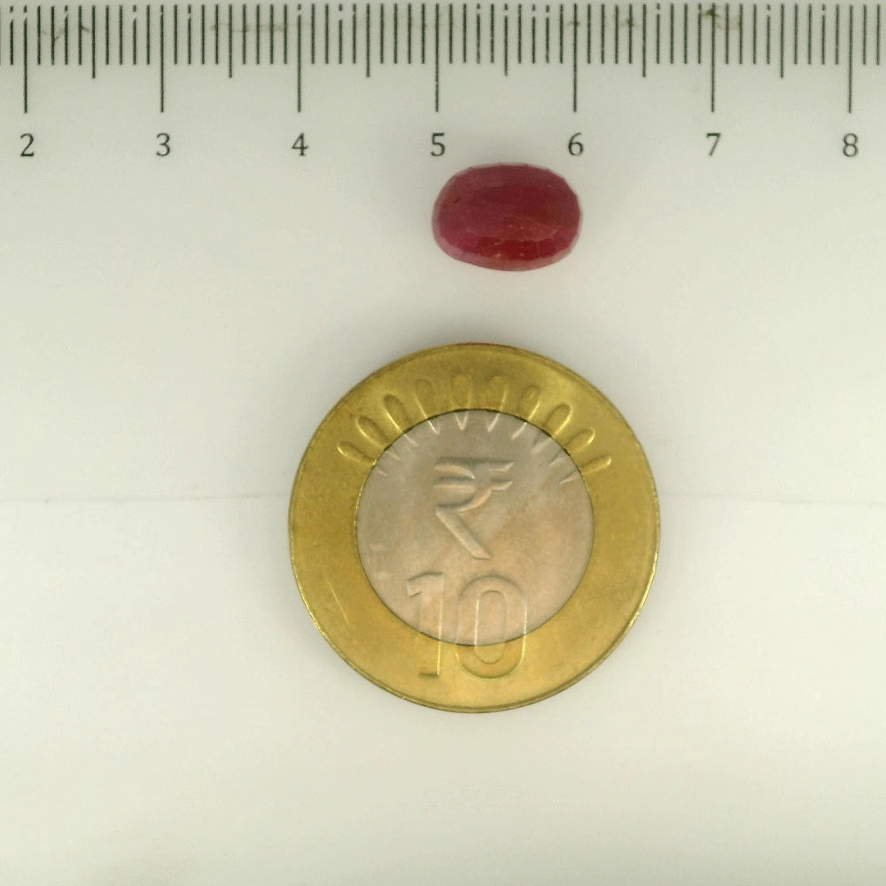 ITLGR_112885_SCALE.webp