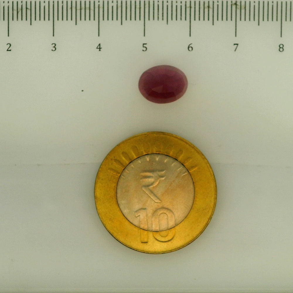 ITLGR_112897_SCALE.webp