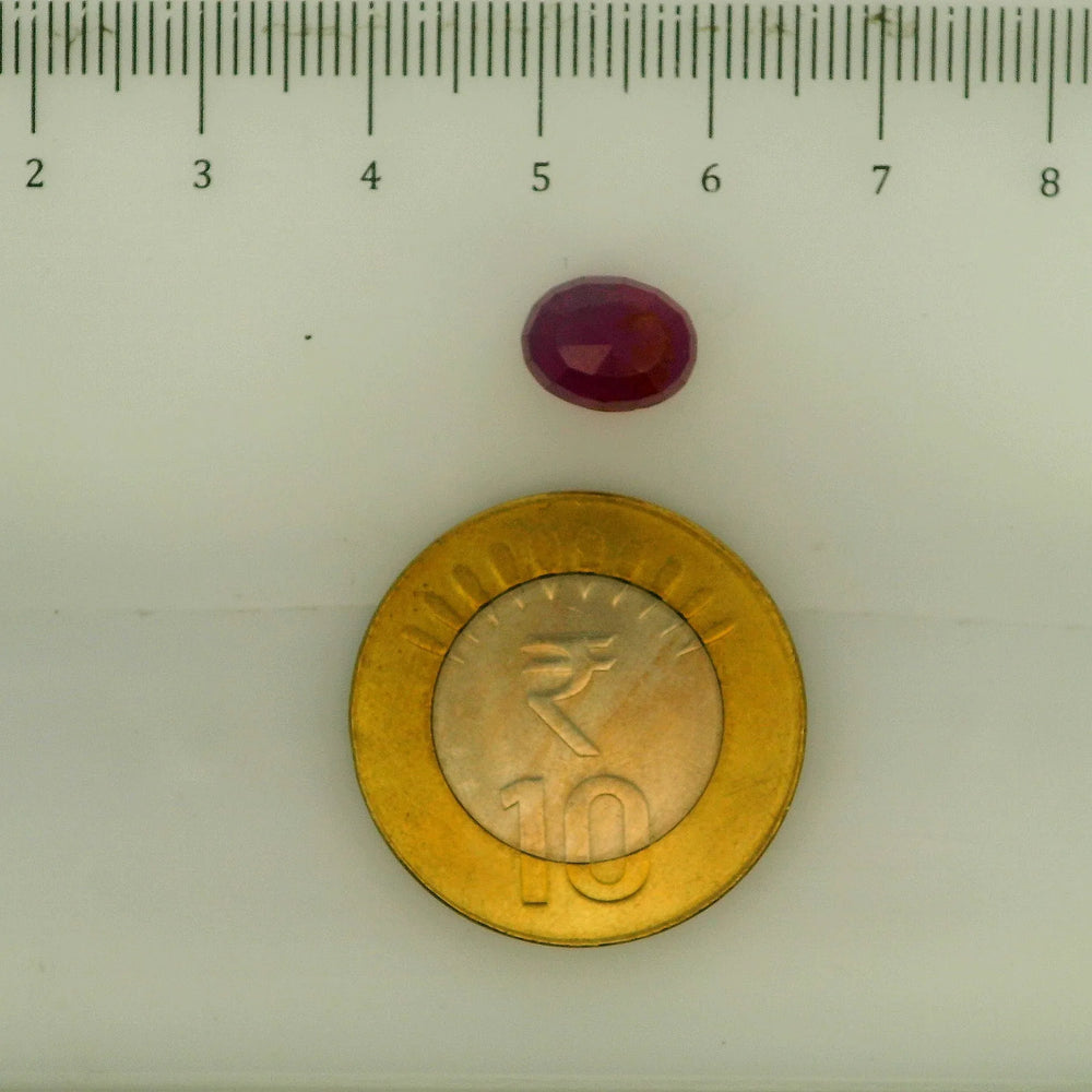 ITLGR_112909_SCALE.webp