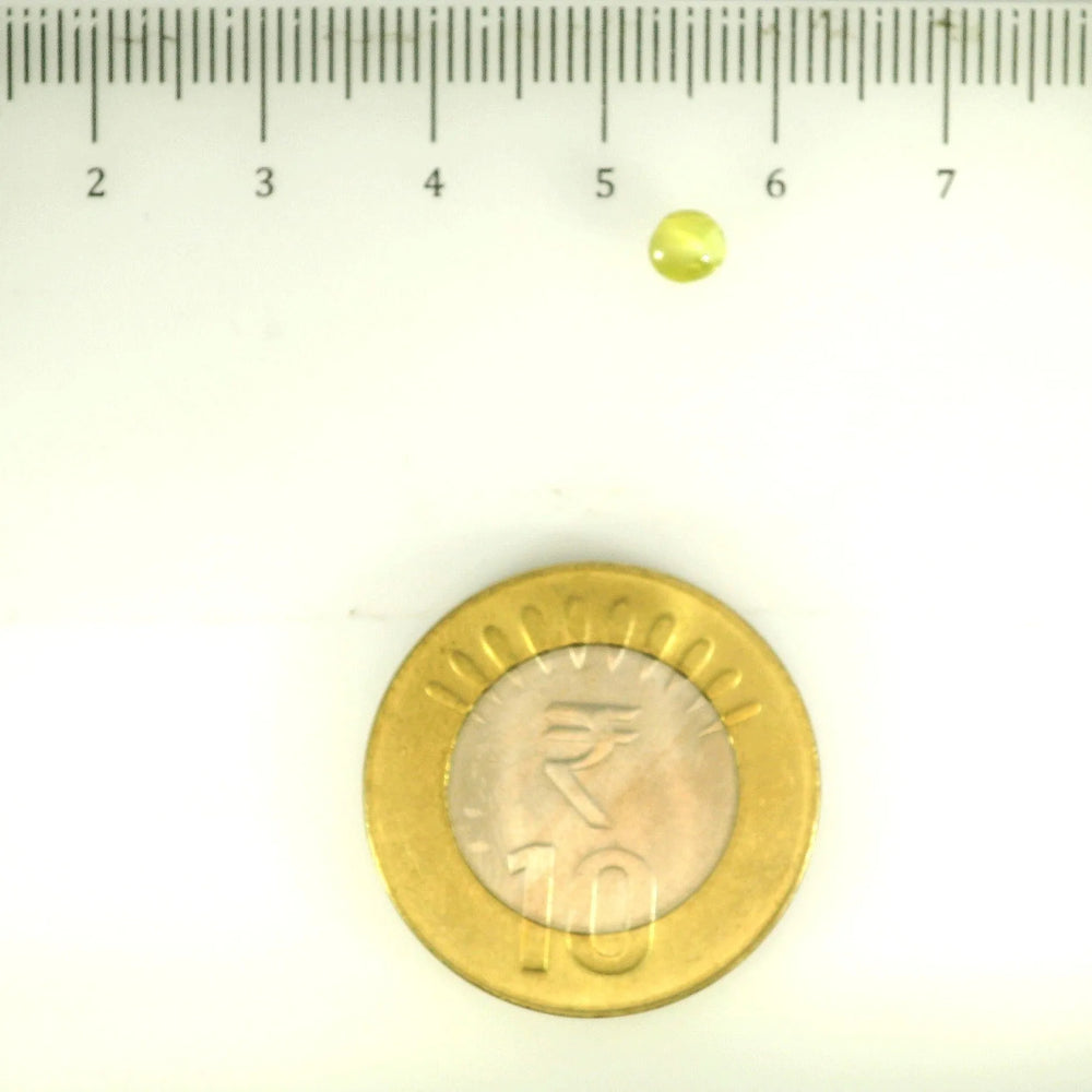 ITLGR_113136_SCALE.webp