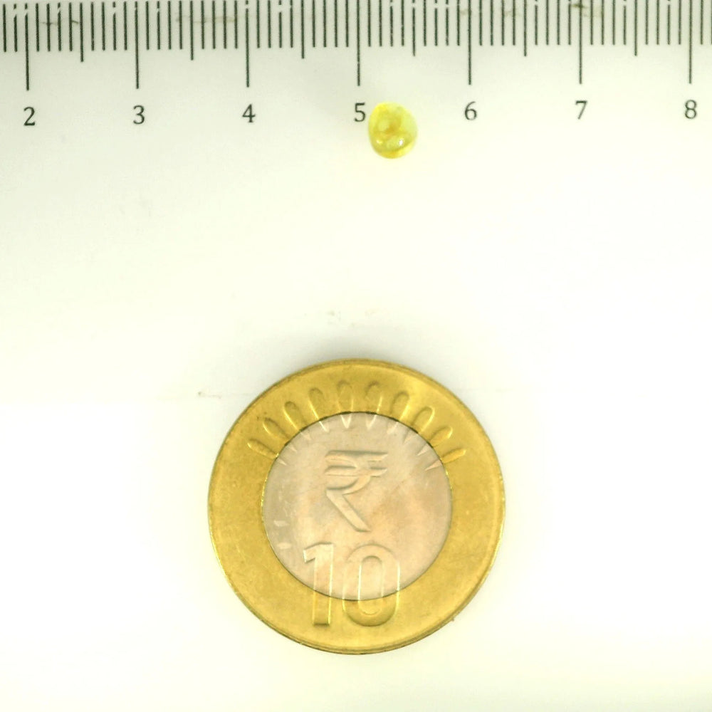 ITLGR_113161_SCALE.webp