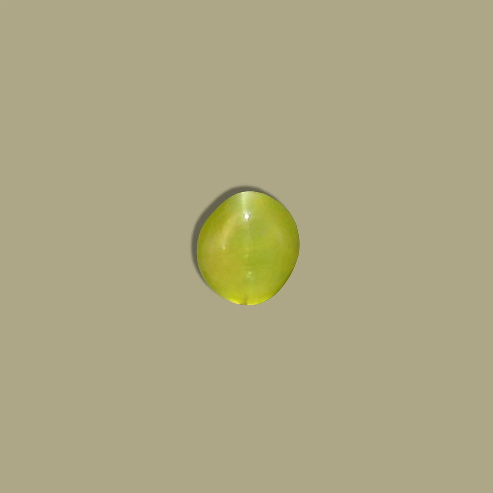 ITLGR_113165_TOP.webp
