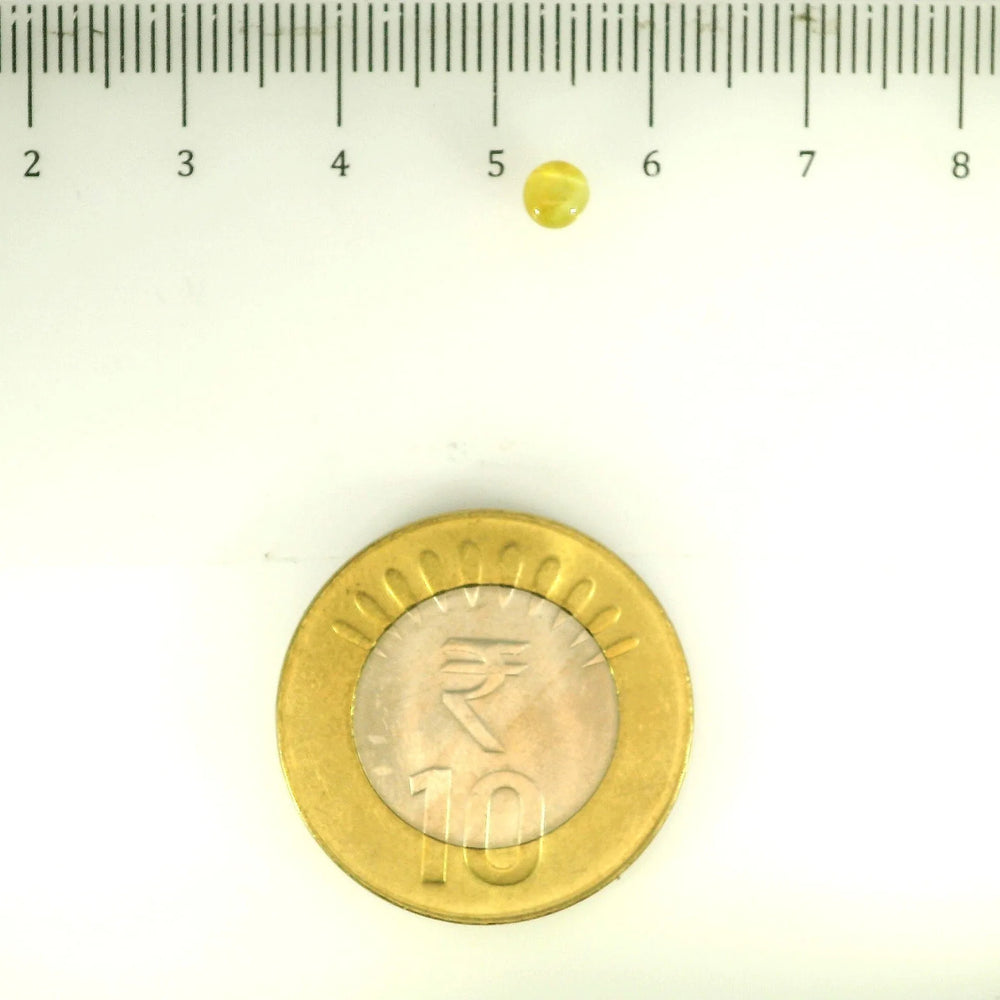 ITLGR_113166_SCALE.webp