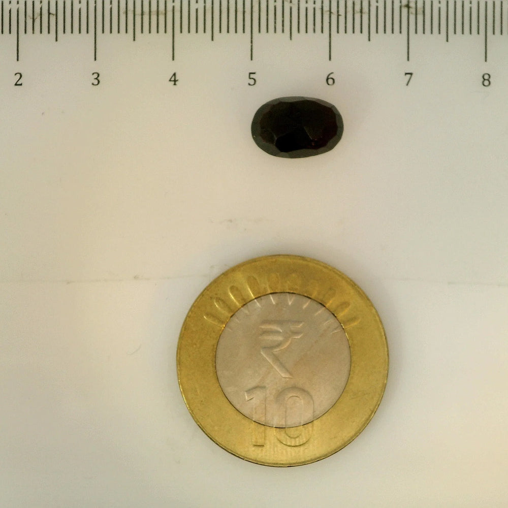 ITLGR_113183_SCALE.webp