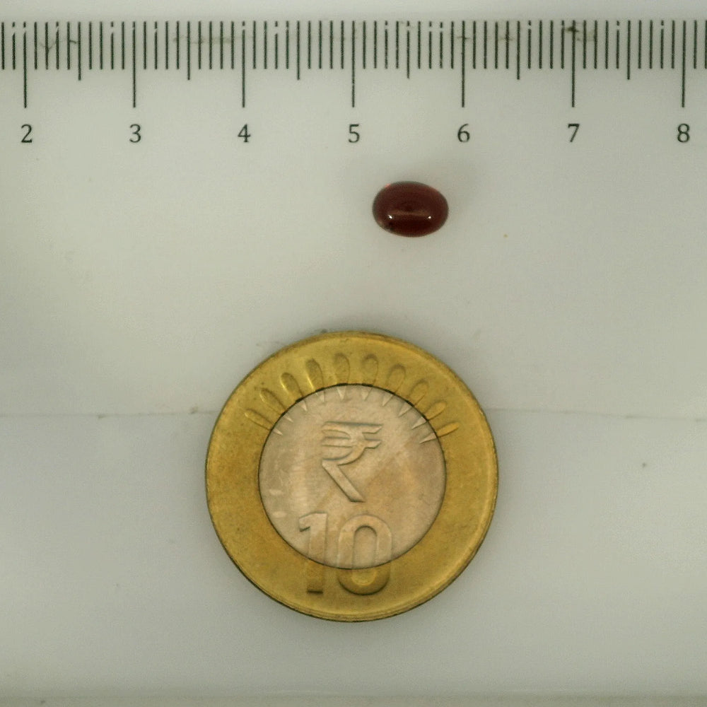 ITLGR_113262_SCALE.webp