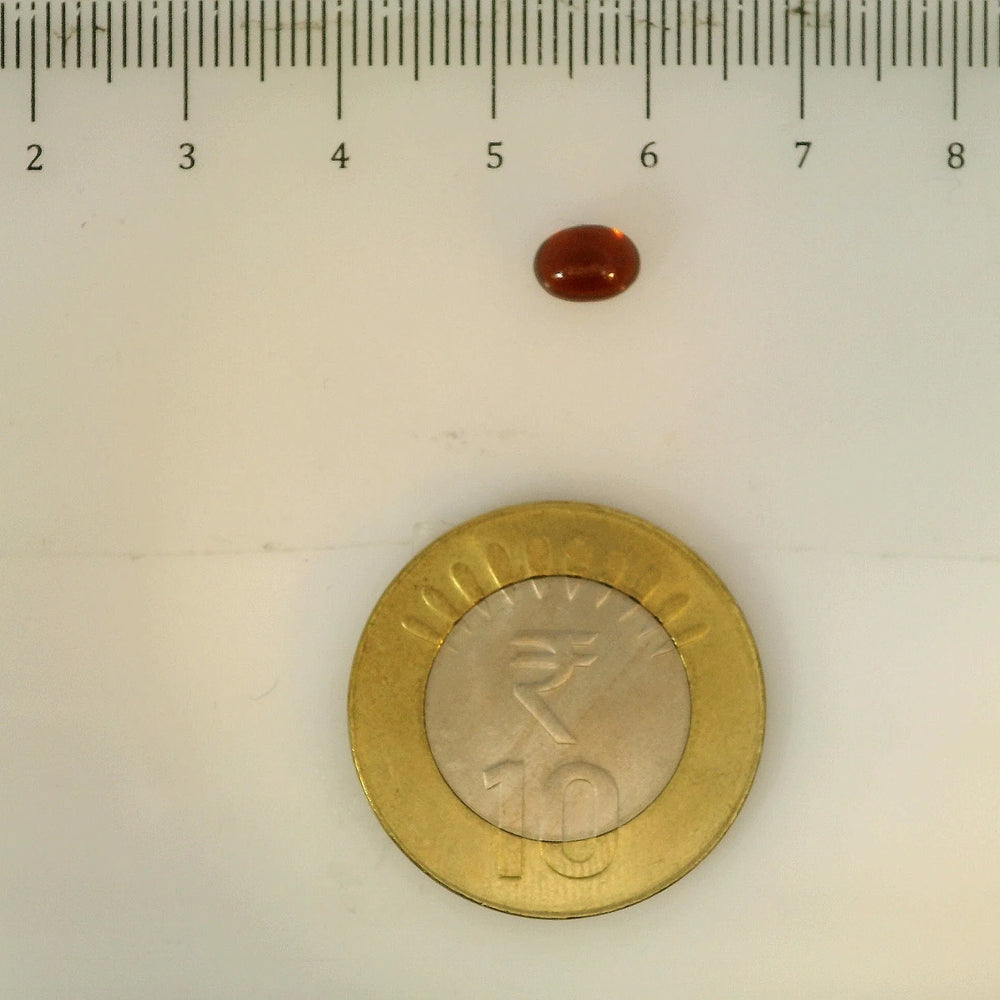 ITLGR_113263_SCALE.webp