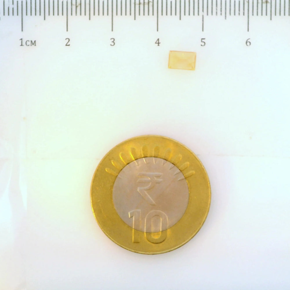 ITLGR_113310_SCALE.webp