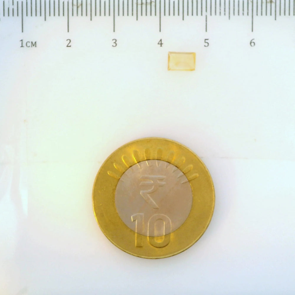 ITLGR_113313_SCALE.webp