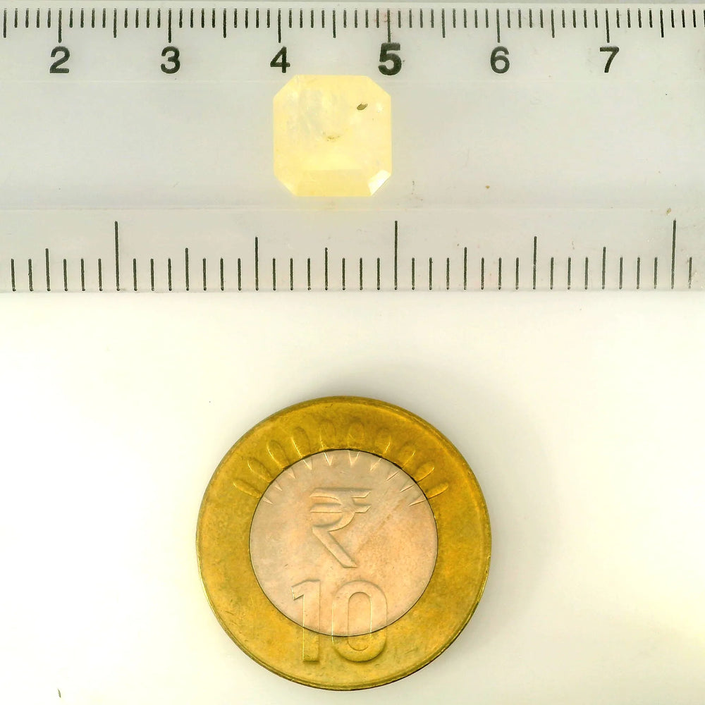 ITLGR_121072_SCALE.webp