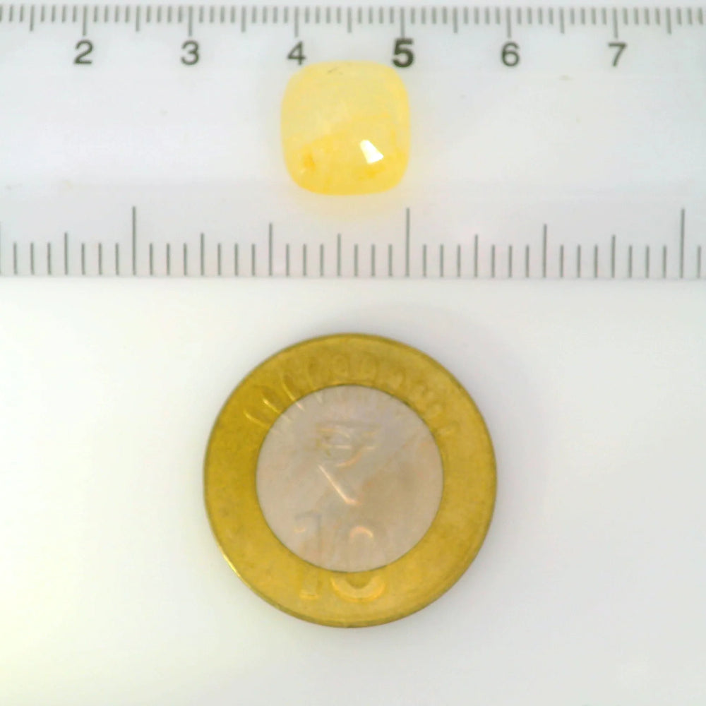ITLGR_121104_SCALE.webp
