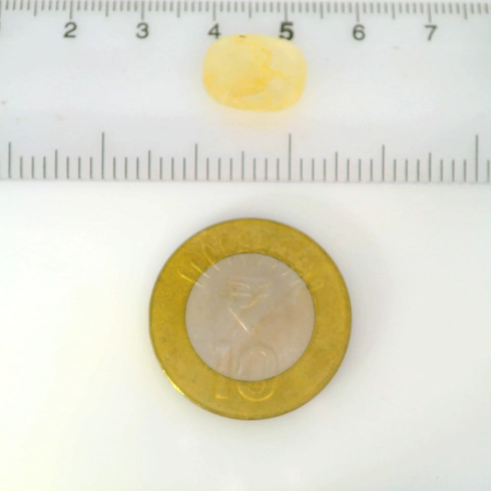 ITLGR_121105_SCALE.webp