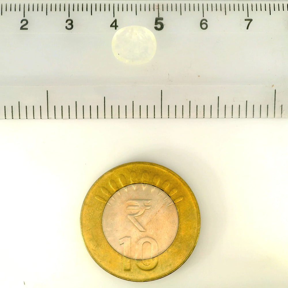 ITLGR_121146_SCALE.webp